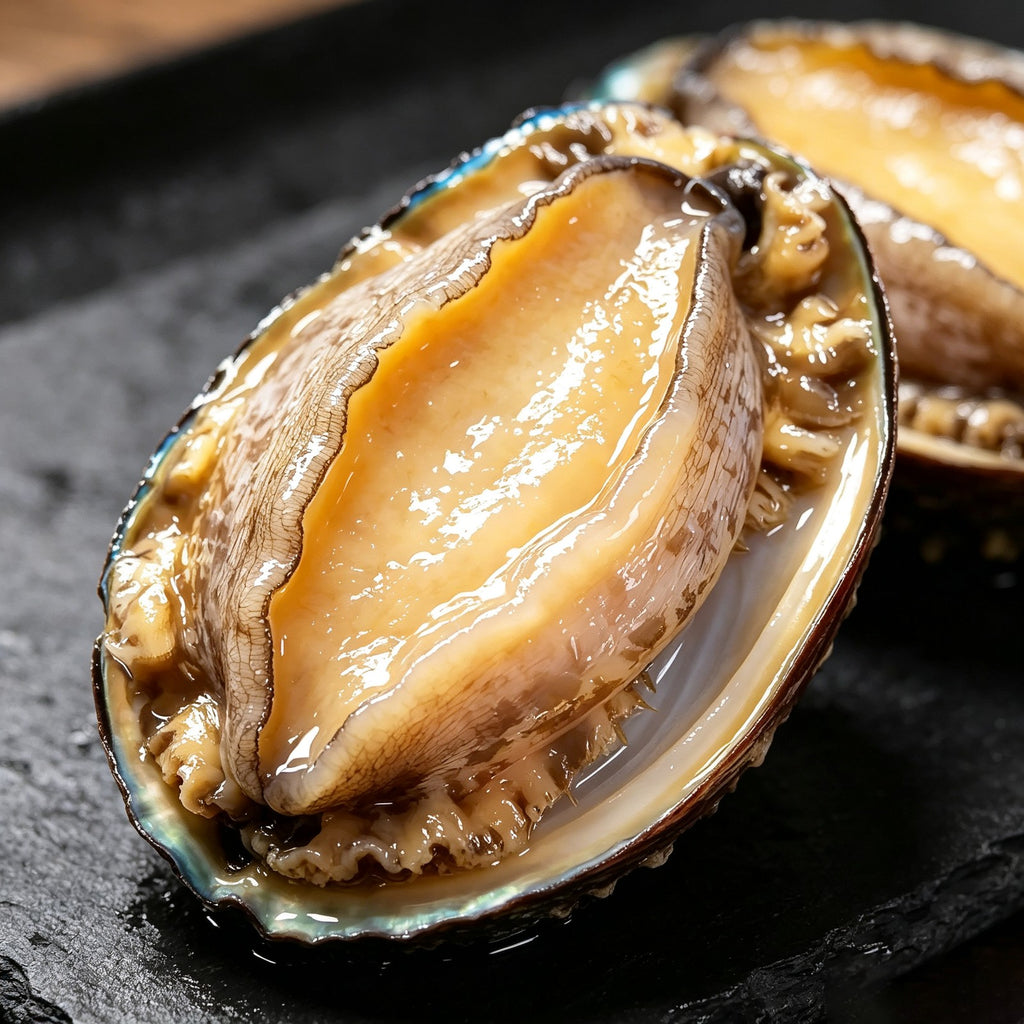 Large fresh abalone with thin shell and thick meat